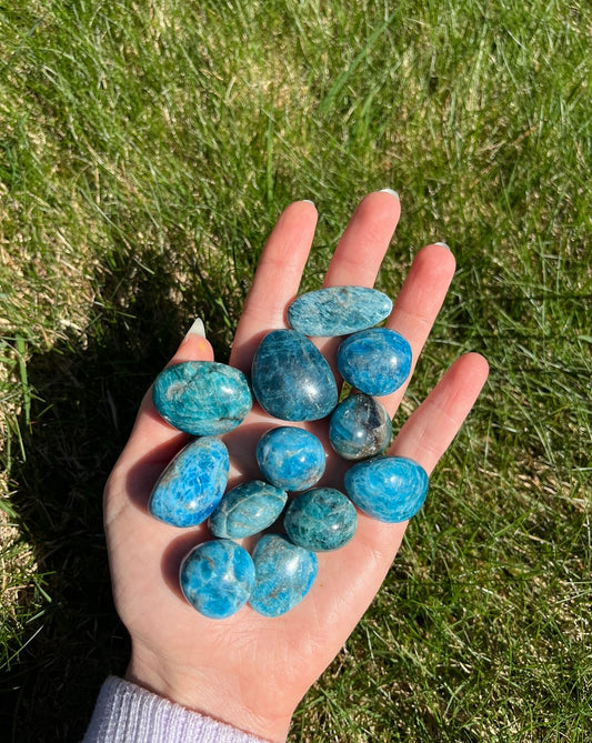 Blue Apatite Tumbled